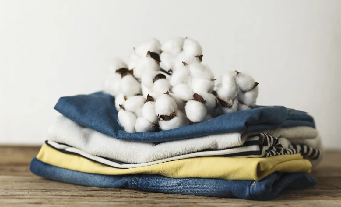 Best Fabrics for Knit Boxer
