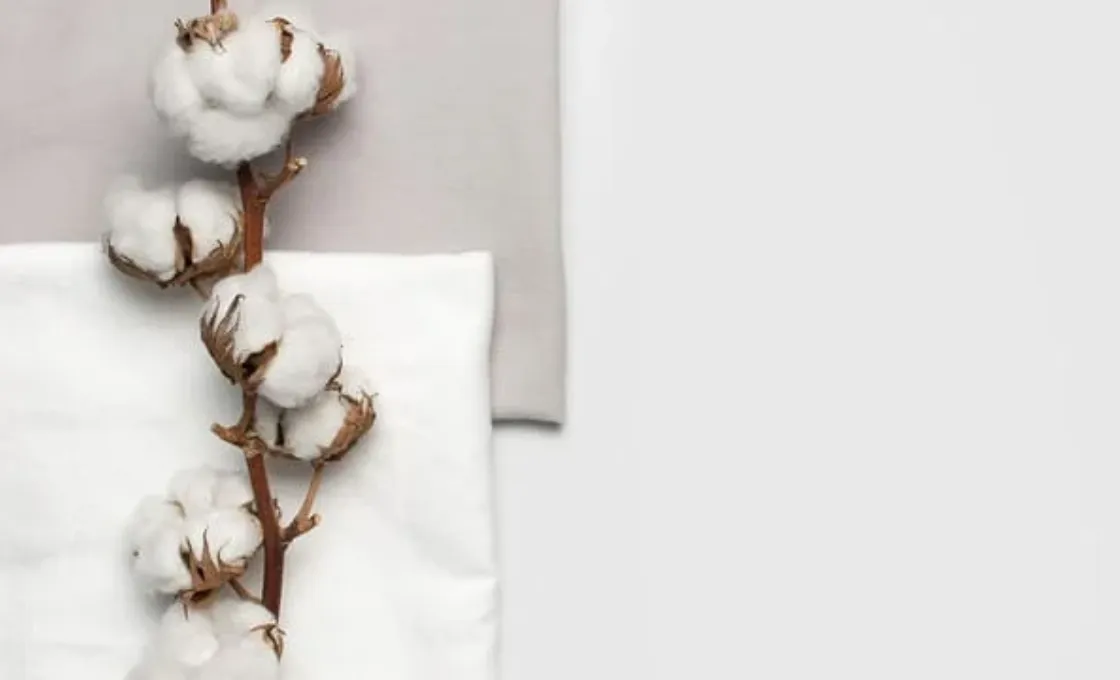 Organic Cotton Production Process