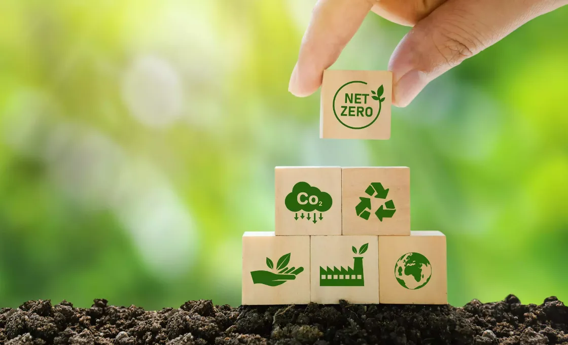 Thygesen's Commitment to a Sustainable Future