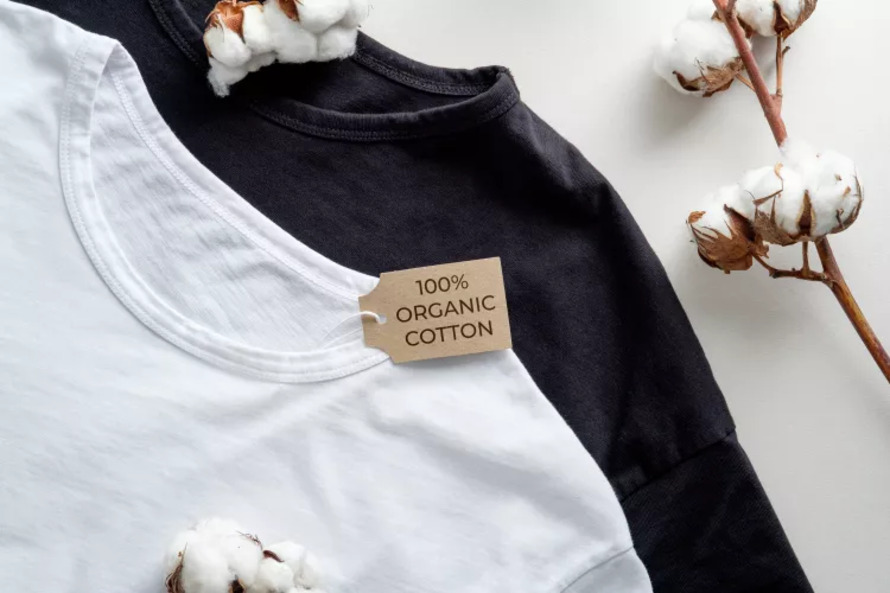 Eco-friendly clothing is typically made from sustainable fabrics such as organic cotton, recycled polyester, and bamboo