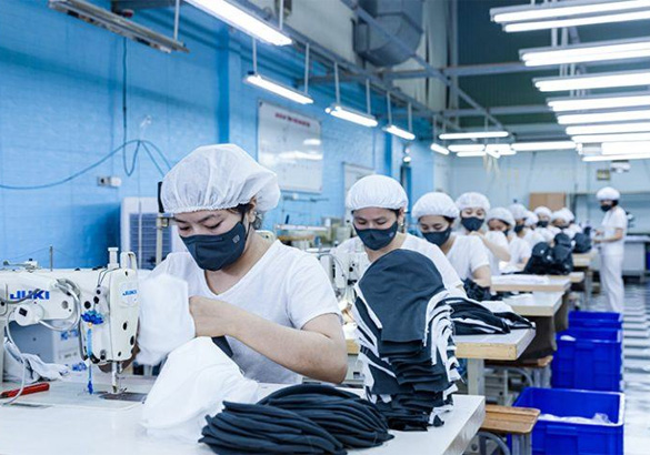Innovative Seamless Bra Manufacturing Factory