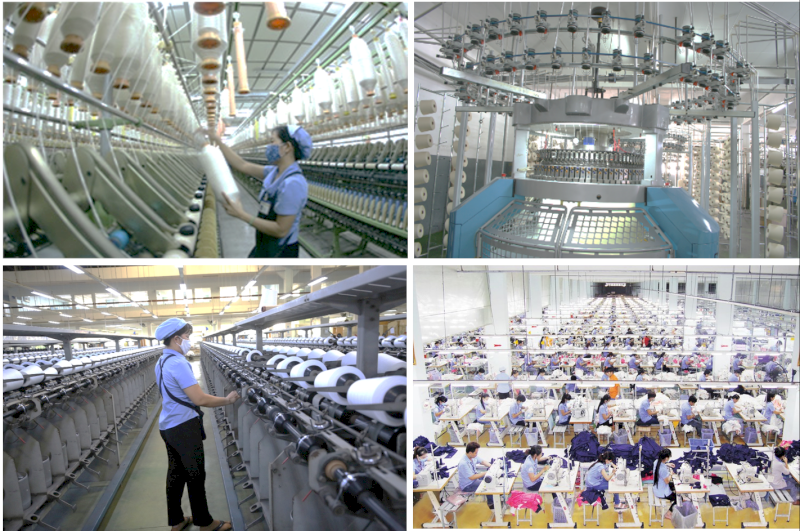 Thanh Cong Textile & Garment is one of the few Vietnamese manufacturers with a fully integrated supply chain from yarn production to knitting, dyeing, and sewing