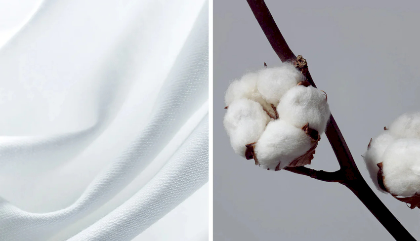 Supima cotton delivers premium, long-lasting T-shirts
