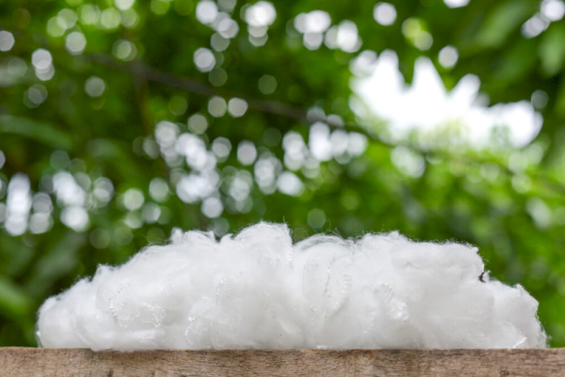 Polyester harms the environment due to petroleum use and microplastics