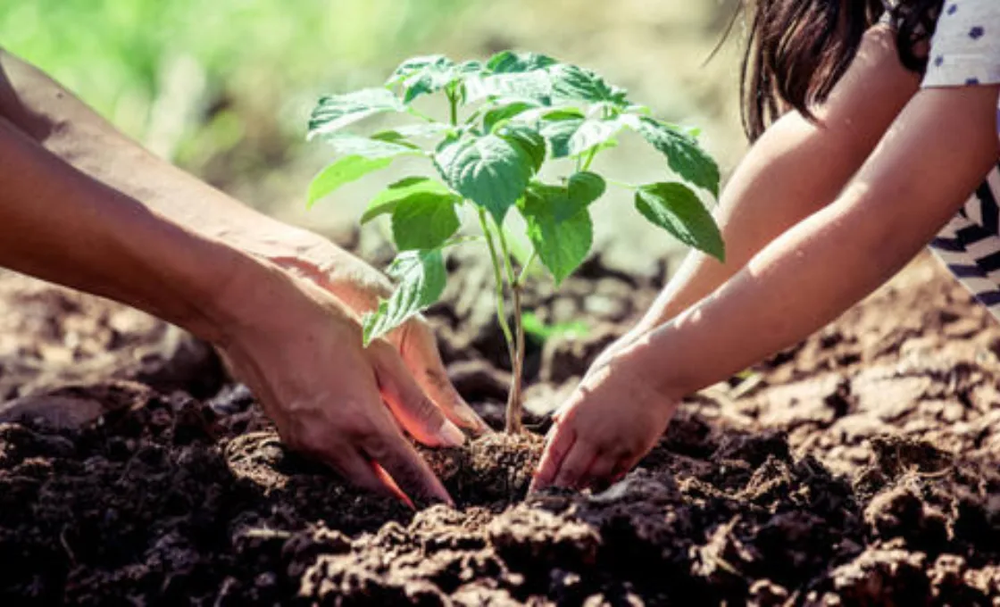 The impact of fair trade on communities and the environment